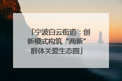 宁波白云街道：创新模式构筑“两新”群体关爱生态圈