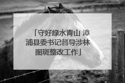 守好绿水青山 漳浦县委书记督导涉林图斑整改工作