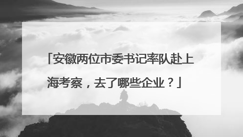 安徽两位市委书记率队赴上海考察，去了哪些企业？