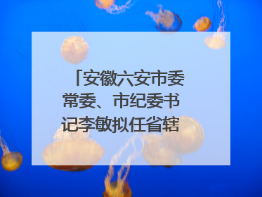 安徽六安市委常委、市纪委书记李敏拟任省辖市市委副书记