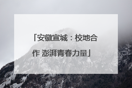 安徽宣城：校地合作 澎湃青春力量