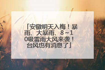 安徽明天入梅！暴雨、大暴雨、8～10级雷雨大风来袭！台风也有消息了