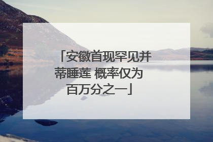 安徽首现罕见并蒂睡莲 概率仅为百万分之一