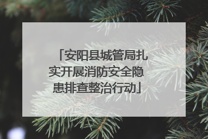 安阳县城管局扎实开展消防安全隐患排查整治行动