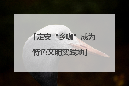 定安“乡咖”成为特色文明实践地