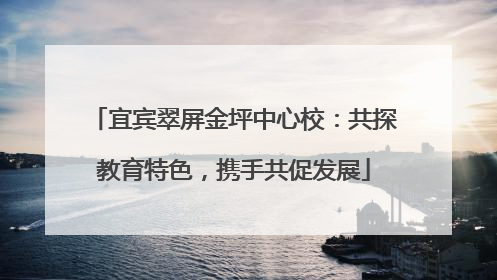宜宾翠屏金坪中心校：共探教育特色，携手共促发展