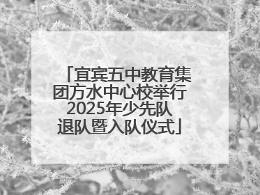 宜宾五中教育集团方水中心校举行2025年少先队退队暨入队仪式