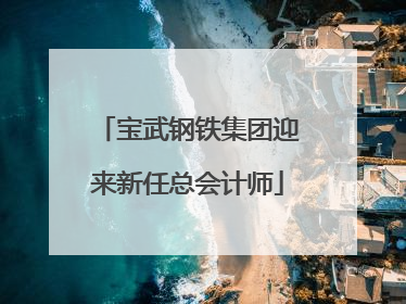 宝武钢铁集团迎来新任总会计师