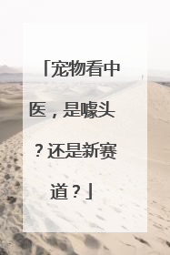 宠物看中医，是噱头？还是新赛道？
