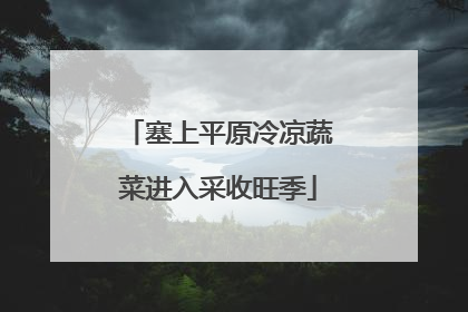 塞上平原冷凉蔬菜进入采收旺季