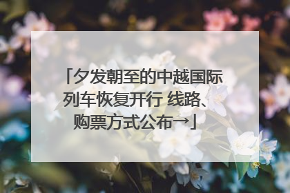 夕发朝至的中越国际列车恢复开行 线路、购票方式公布→