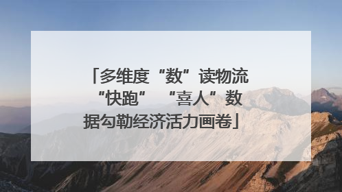 多维度“数”读物流“快跑” “喜人”数据勾勒经济活力画卷