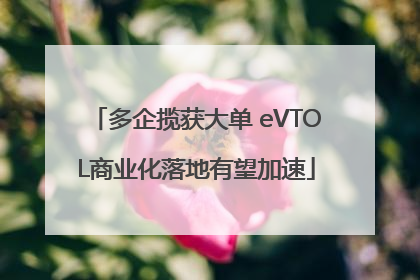 多企揽获大单 eVTOL商业化落地有望加速