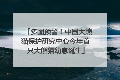 多图预警！中国大熊猫保护研究中心今年首只大熊猫幼崽诞生