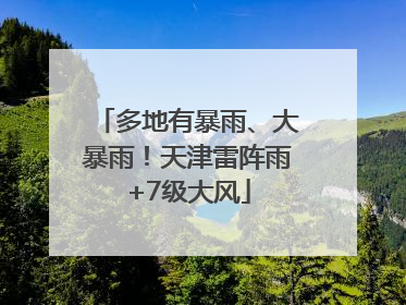 多地有暴雨、大暴雨！天津雷阵雨+7级大风
