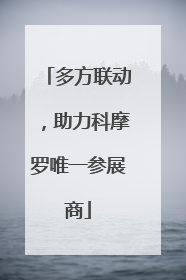 多方联动，助力科摩罗唯一参展商