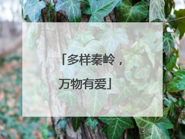 多样秦岭，万物有爱