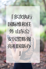多次执行国际维和任务 山东公安民警陈强亮相国新办