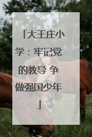 大王庄小学：牢记党的教导 争做强国少年