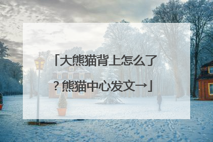 大熊猫背上怎么了？熊猫中心发文→