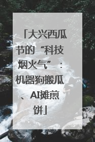 大兴西瓜节的“科技烟火气”：机器狗搬瓜、AI摊煎饼