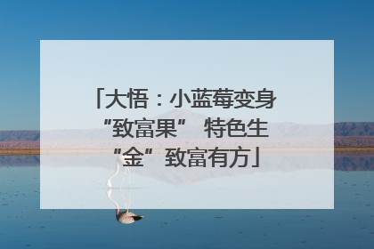 大悟：小蓝莓变身“致富果” 特色生“金”致富有方
