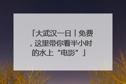 大武汉一日︱免费，这里带你看半小时的水上“电影”