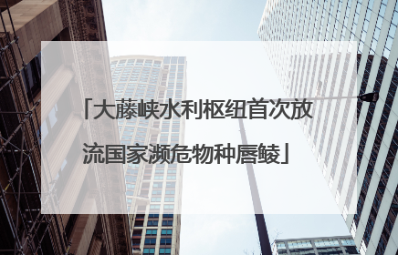 大藤峡水利枢纽首次放流国家濒危物种唇鲮