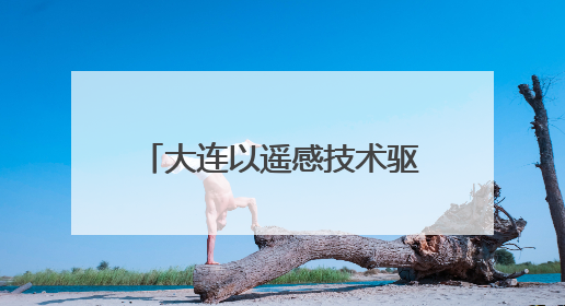 大连以遥感技术驱动数智转型 绘就生态环境“空天地”立体守护画卷