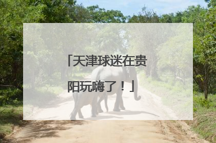 天津球迷在贵阳玩嗨了！