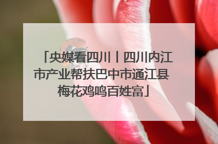 央媒看四川丨四川内江市产业帮扶巴中市通江县 梅花鸡鸣百姓富