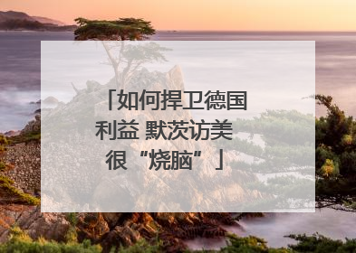 如何捍卫德国利益 默茨访美很“烧脑”