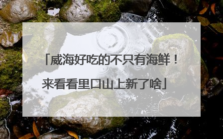 威海好吃的不只有海鲜！来看看里口山上新了啥