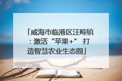 威海市临港区汪疃镇：激活“苹果+” 打造智慧农业生态圈