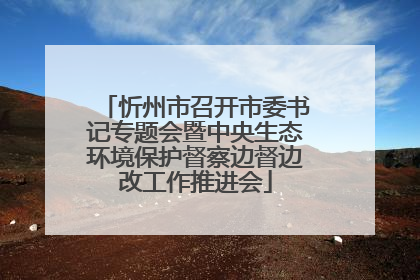 忻州市召开市委书记专题会暨中央生态环境保护督察边督边改工作推进会