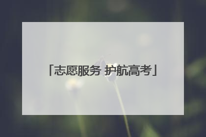 志愿服务 护航高考