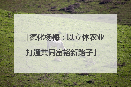 德化杨梅：以立体农业打通共同富裕新路子
