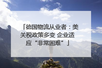 德国物流从业者：美关税政策多变 企业适应“非常困难”