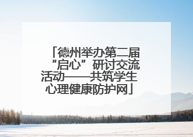 德州举办第二届“启心”研讨交流活动——共筑学生心理健康防护网