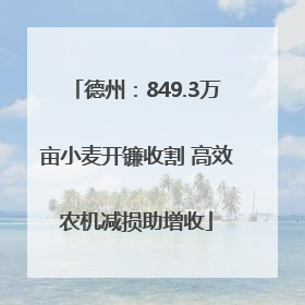 德州：849.3万亩小麦开镰收割 高效农机减损助增收