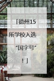 德州15所学校入选“国字号”！