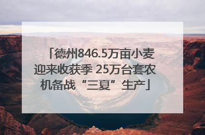 德州846.5万亩小麦迎来收获季 25万台套农机备战“三夏”生产