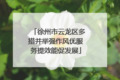 徐州市云龙区多措并举强作风优服务提效能促发展