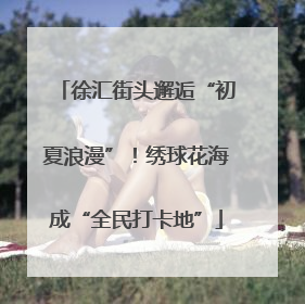 徐汇街头邂逅“初夏浪漫”！绣球花海成“全民打卡地”