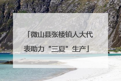 微山县张楼镇人大代表助力“三夏”生产
