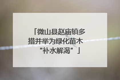 微山县赵庙镇多措并举为绿化苗木“补水解渴”