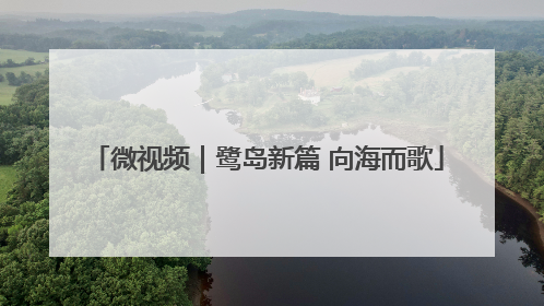 微视频｜鹭岛新篇 向海而歌