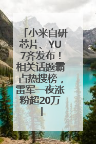 小米自研芯片、YU7齐发布！相关话题霸占热搜榜，雷军一夜涨粉超20万