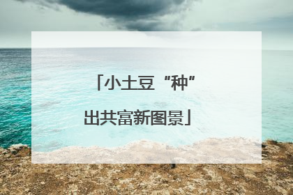 小土豆“种”出共富新图景