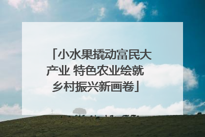 小水果撬动富民大产业 特色农业绘就乡村振兴新画卷